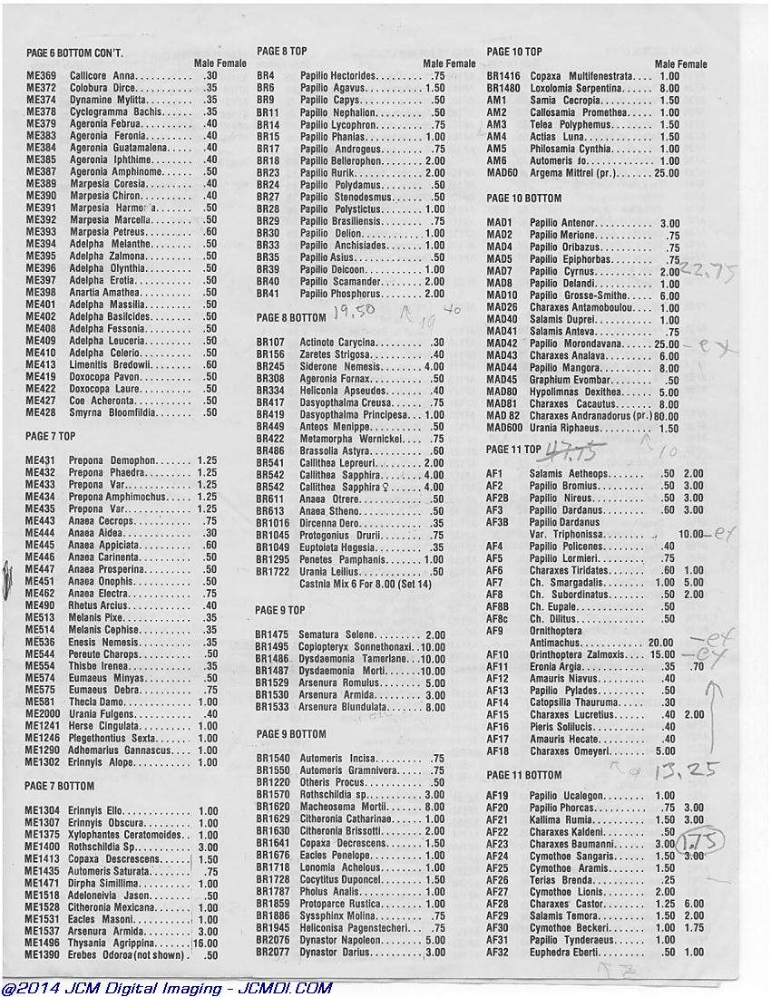The Butterfly Company (NY) 20 page catalog 1978
